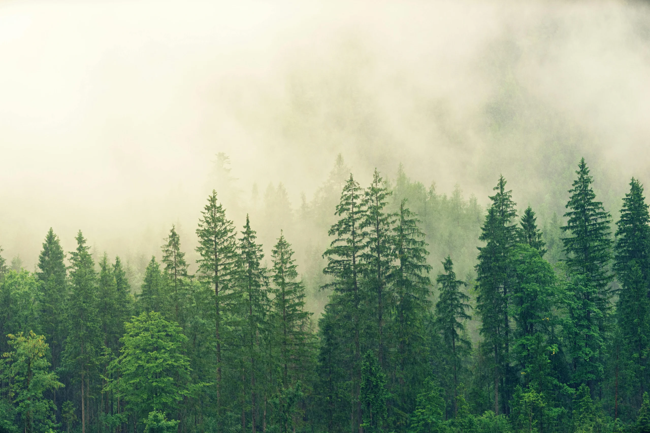 les contes de nuage livre environnement durable pefc papier eco responsable